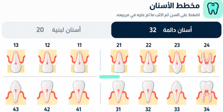 مخطط الأسنان في التطبيق